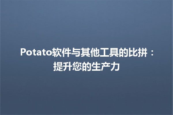 Potato软件与其他工具的比拼：提升您的生产力🌟