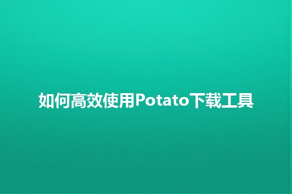 如何高效使用Potato下载工具🤔💻💡