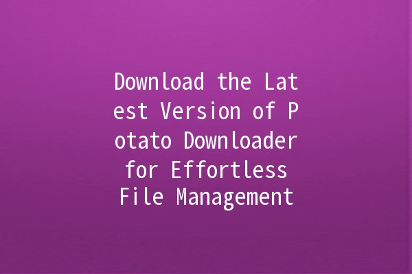 Download the Latest Version of Potato Downloader for Effortless File Management 🌟