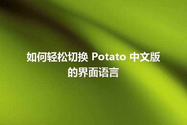 如何轻松切换 Potato 中文版的界面语言 🌐✨