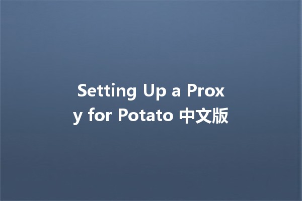 Setting Up a Proxy for Potato 中文版 🥔💻