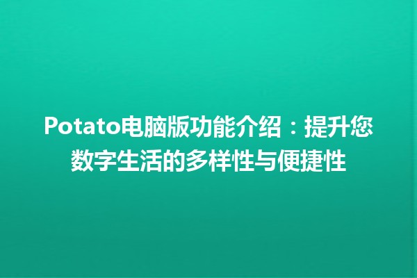 Potato电脑版功能介绍🍟：提升您数字生活的多样性与便捷性