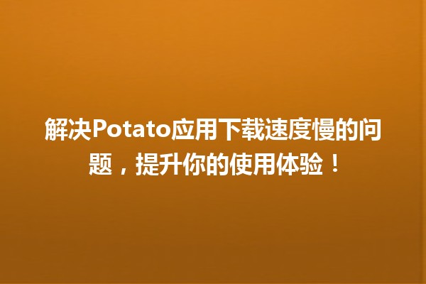 🚀 解决Potato应用下载速度慢的问题，提升你的使用体验！