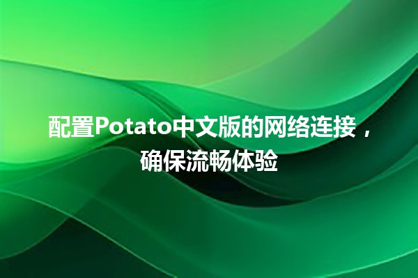 配置Potato中文版的网络连接，确保流畅体验🌐✨