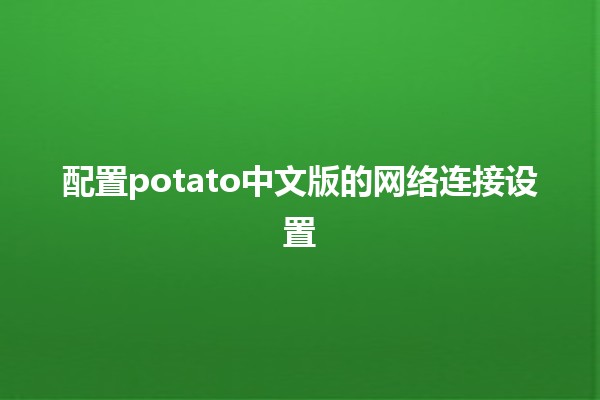 配置potato中文版的网络连接设置🌐🔧