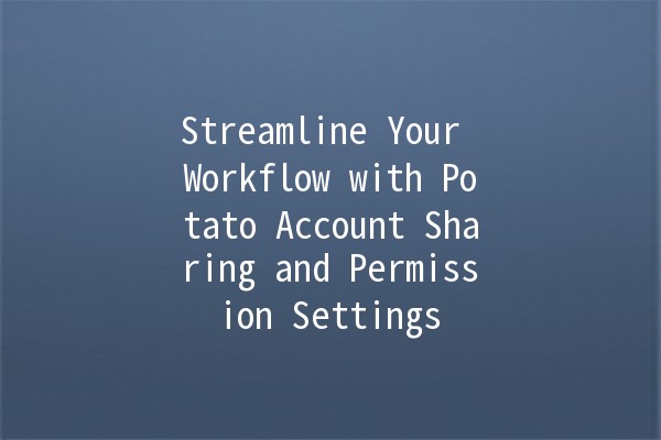 Streamline Your Workflow with Potato Account Sharing and Permission Settings 🚀