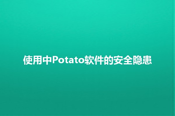 使用中Potato软件的安全隐患 ⚠️