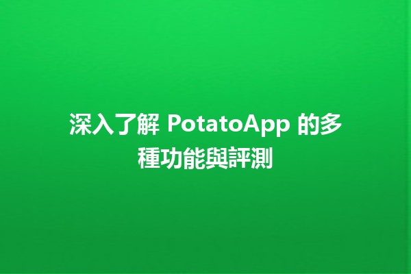 🌟 深入了解 PotatoApp 的多種功能與評測 🌟