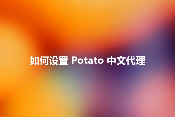 如何设置 Potato 中文代理 🌐💻