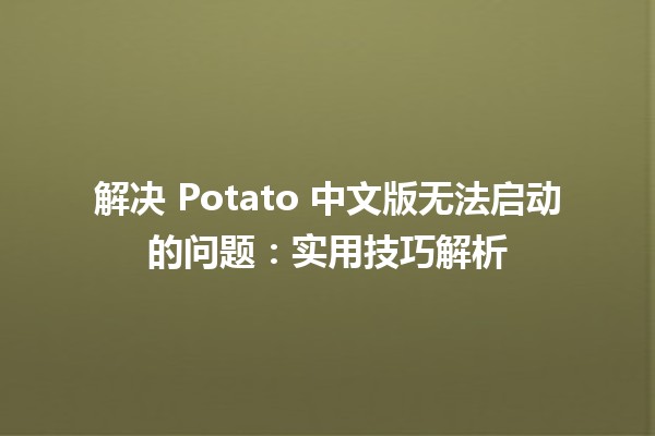 🚀 解决 Potato 中文版无法启动的问题：实用技巧解析