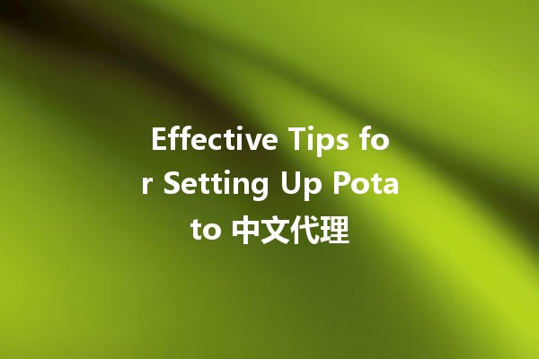 Effective Tips for Setting Up Potato 中文代理 🌐🥔