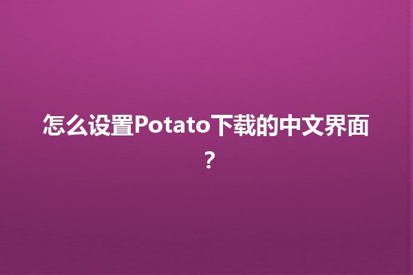 怎么设置Potato下载的中文界面？🟠🔧