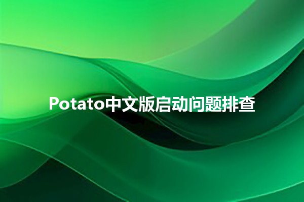 Potato中文版启动问题排查🛠️