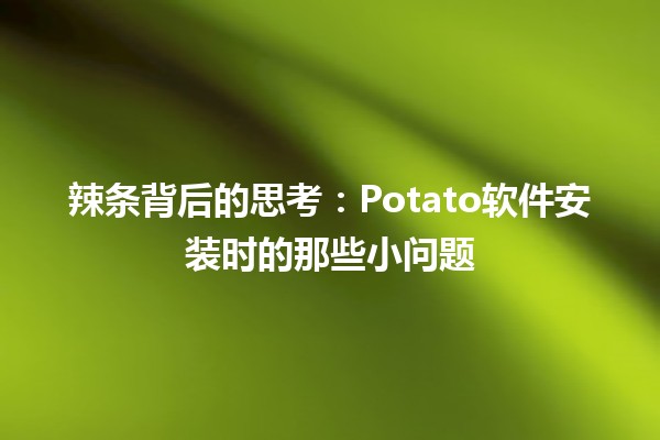 🚀 辣条背后的思考：Potato软件安装时的那些小问题💻