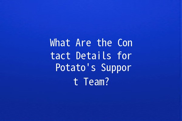 What Are the Contact Details for Potato's Support Team? 🥔✨