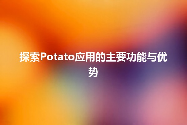 🌟 探索Potato应用的主要功能与优势🌟