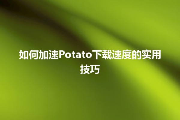 如何加速Potato下载速度的实用技巧🚀