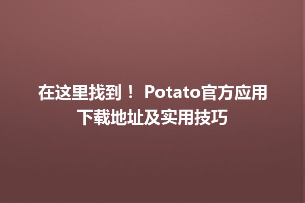 在这里找到！📱🥔 Potato官方应用下载地址及实用技巧