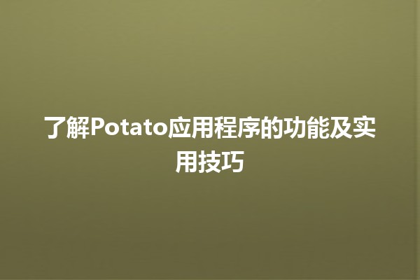 🚀 了解Potato应用程序的功能及实用技巧 🍟