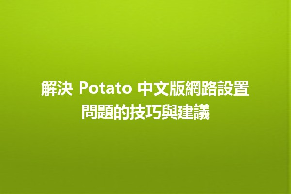 🌐 解決 Potato 中文版網路設置問題的技巧與建議 🥔