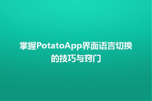 掌握PotatoApp界面语言切換的技巧与窍门 🌍💬