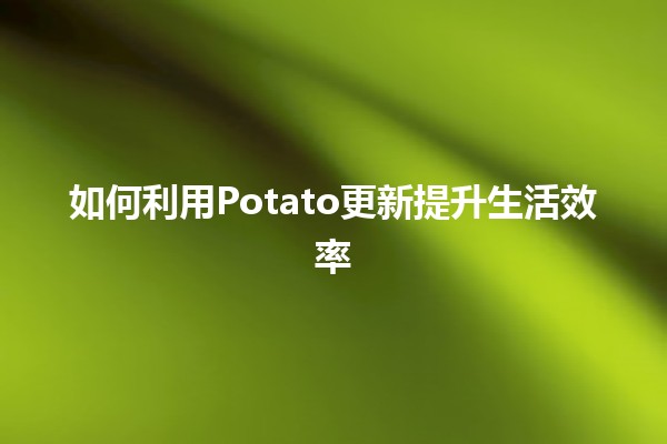 如何利用Potato更新提升生活效率 🥔✨