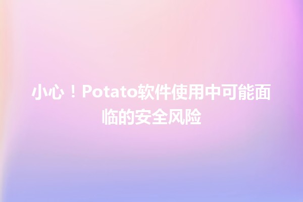 小心！🚨Potato软件使用中可能面临的安全风险