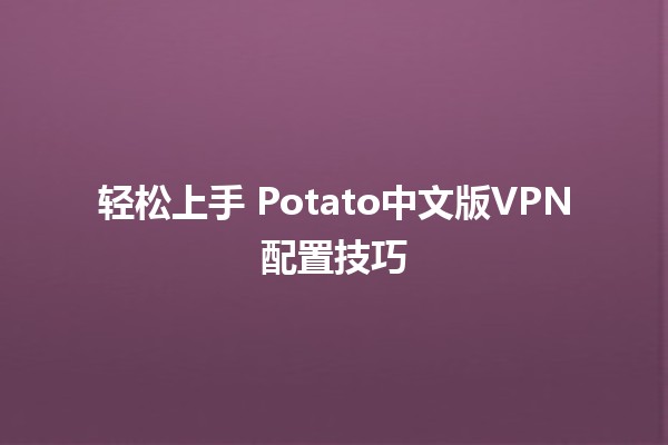 轻松上手🍟 Potato中文版VPN配置技巧