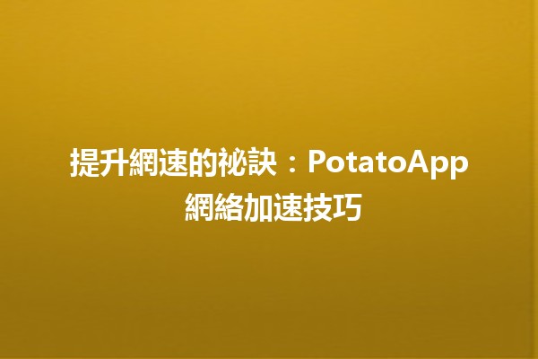 🚀 提升網速的祕訣：PotatoApp 網絡加速技巧