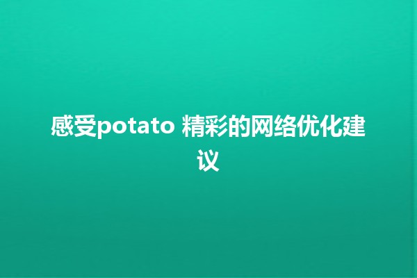 感受potato🌟 精彩的网络优化建议