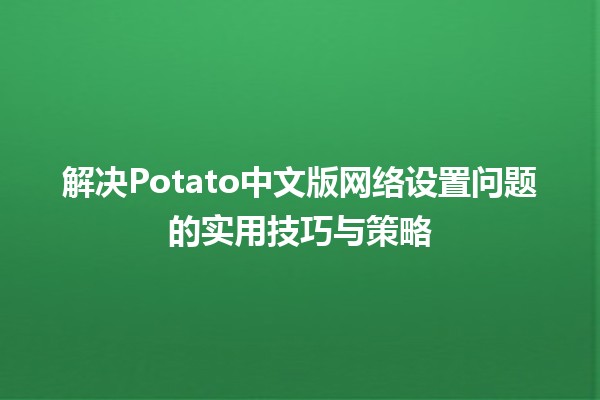 🚀解决Potato中文版网络设置问题的实用技巧与策略