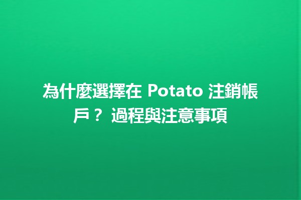 為什麼選擇在 Potato 注銷帳戶？🕒 過程與注意事項