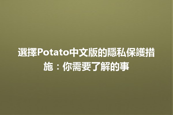 🍟 選擇Potato中文版的隱私保護措施：你需要了解的事