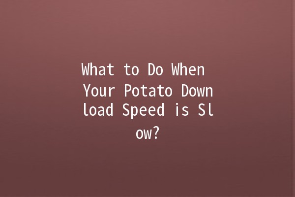 What to Do When Your Potato Download Speed is Slow? 🚀🥔