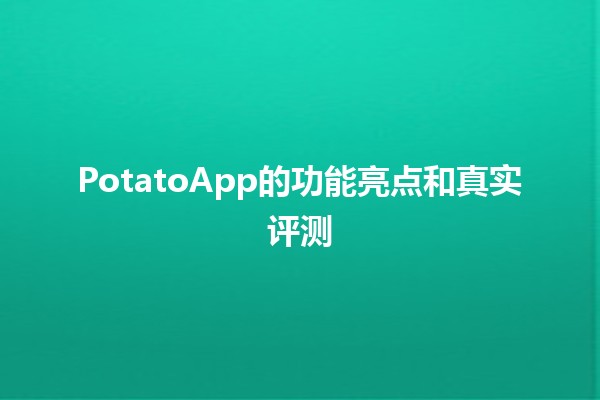 🌟 PotatoApp的功能亮点和真实评测 🥔