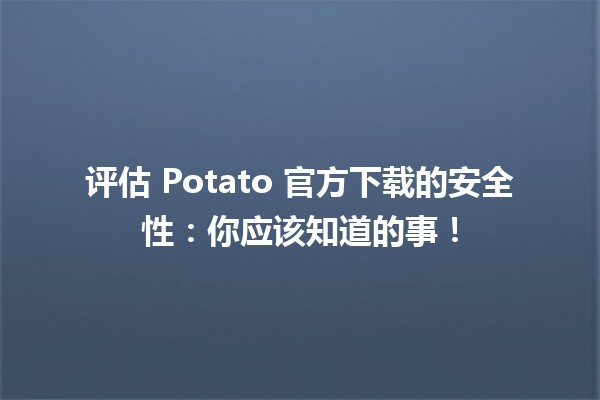 🌐 评估 Potato 官方下载的安全性：你应该知道的事！