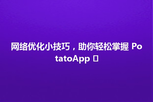 🍟 网络优化小技巧，助你轻松掌握 PotatoApp ⬆️