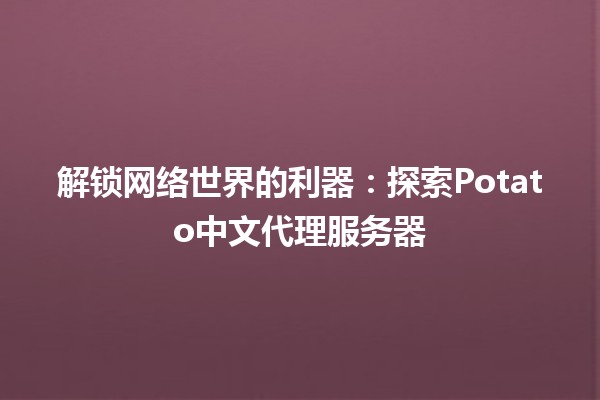 🚀 解锁网络世界的利器：探索Potato中文代理服务器