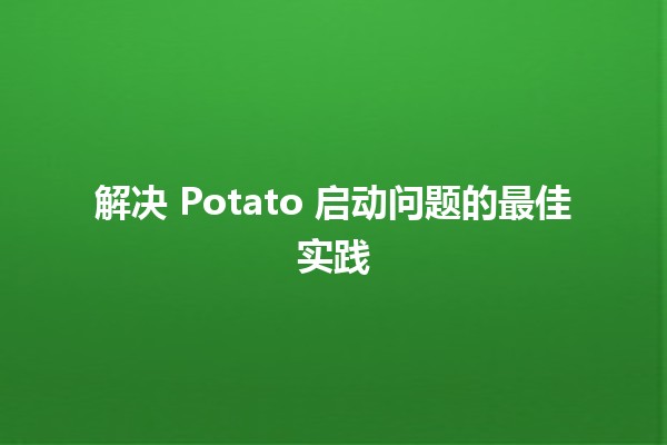 解决 Potato 启动问题的最佳实践 🍟🚀