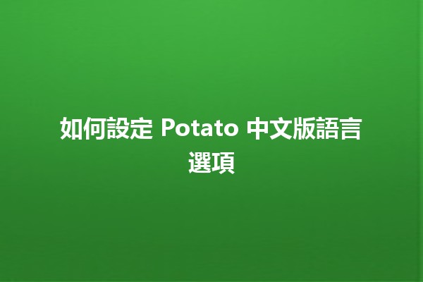 如何設定 Potato 中文版語言選項 🥔✨