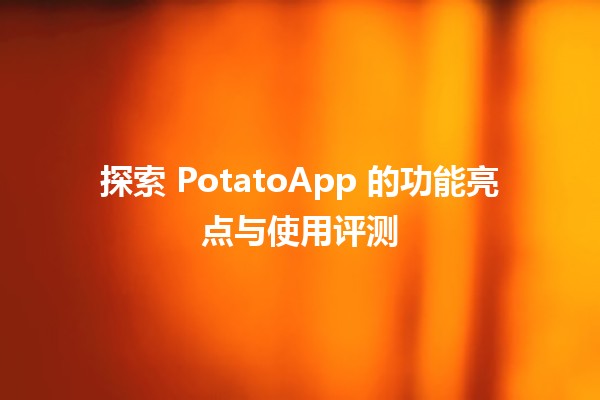 🌟 探索 PotatoApp 的功能亮点与使用评测 🚀