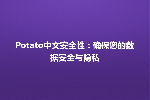 Potato中文安全性：确保您的数据安全与隐私 📊🔒