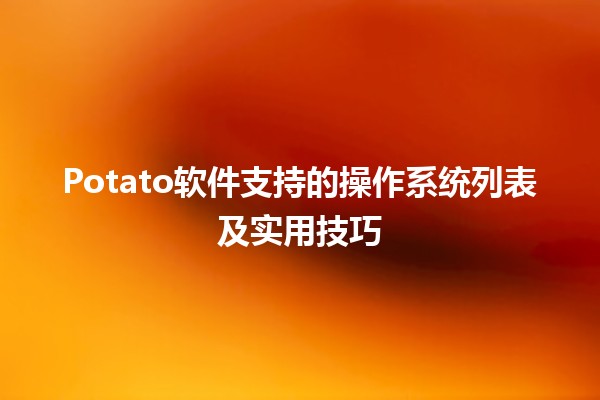 🌟 Potato软件支持的操作系统列表及实用技巧