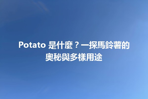 Potato 是什麼？🥔✨一探馬鈴薯的奧秘與多樣用途