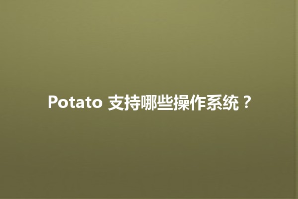 Potato 支持哪些操作系统？🖥️🍟