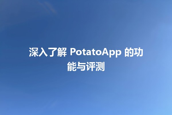 深入了解 PotatoApp 的功能与评测🟠📱