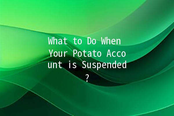 What to Do When Your Potato Account is Suspended? 🥔🚫